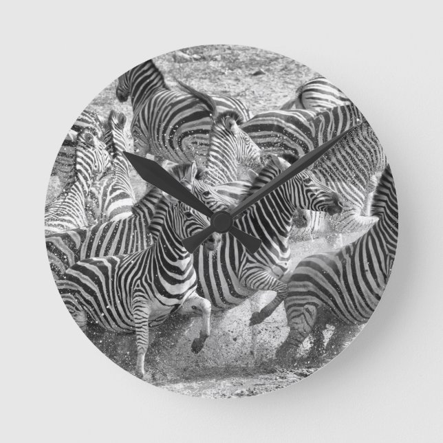 Zebras running round clock (Front)