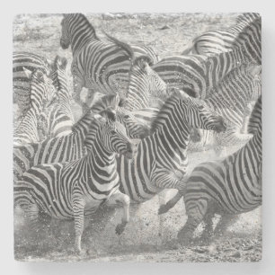 Zebras running stone coaster