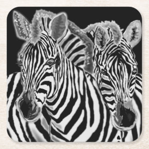 Zebras Square Paper Coaster