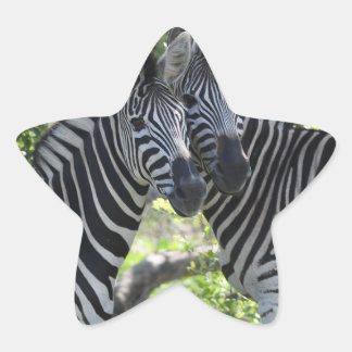 zebras star sticker