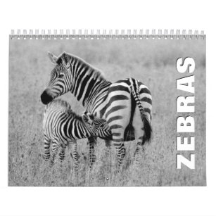 Zebras Wall Calendar