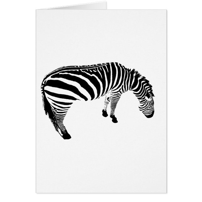 zeebra (Front)