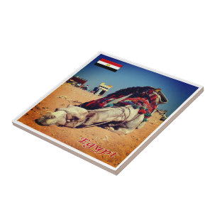 zEG021 EGYPT, Camel, Africa, Ceramic Tile
