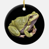 Zen Frog Pale Green Treefrog Black Ornament