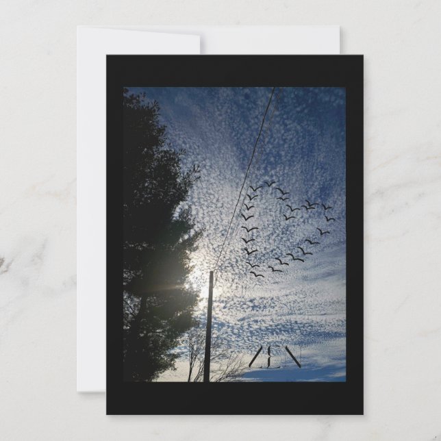 ZEN HOLIDAY CARD (Front)