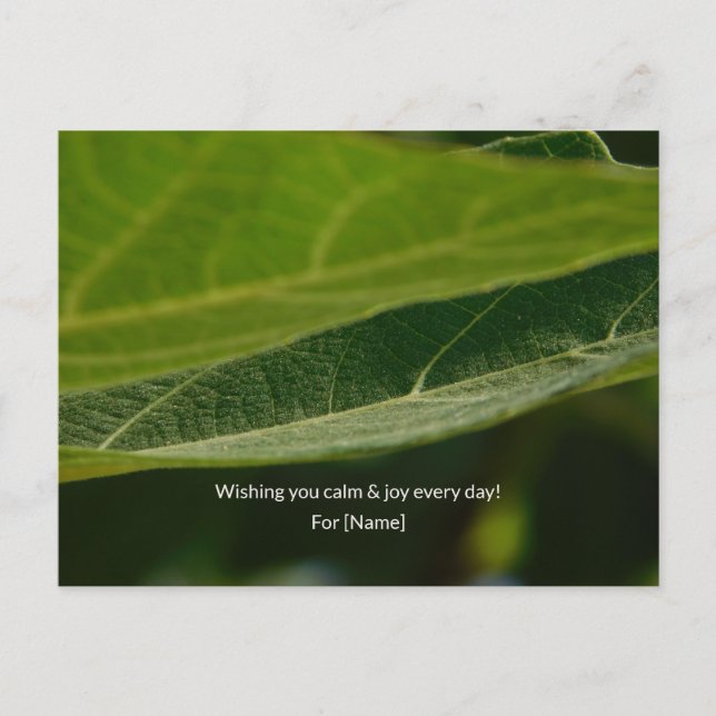 Zen Leaf Postcard – Personalised Nature GrPostcard (Front)