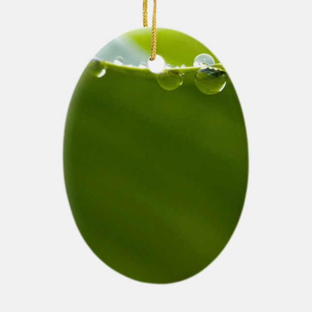 Zen Love Green Lotus Leaf  Water Drop Ceramic Ornament (Back)