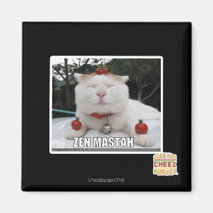 Zen Mastah Magnet