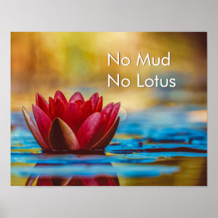 Zen Mindfulness No Mud No Lotus Wall Decor