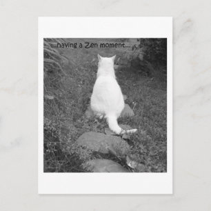 Zen moment postcard