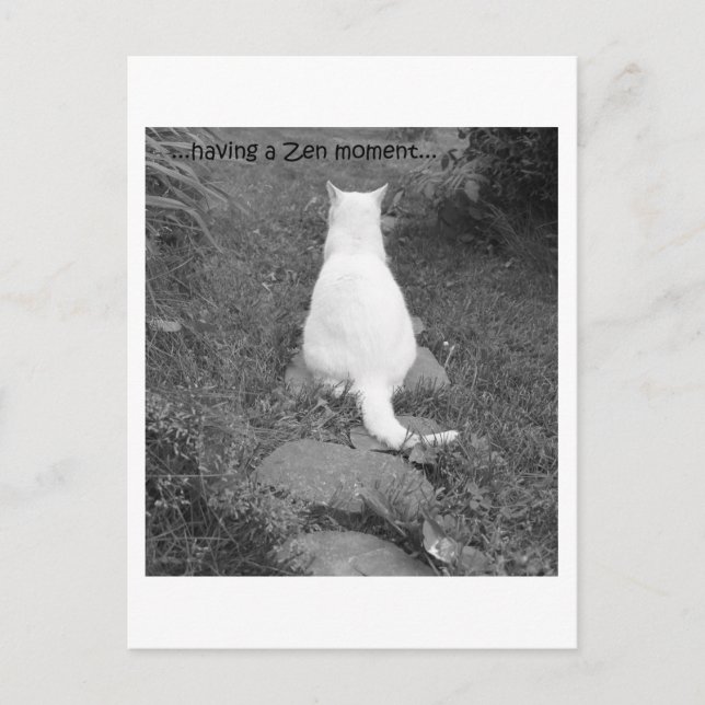 Zen moment postcard (Front)
