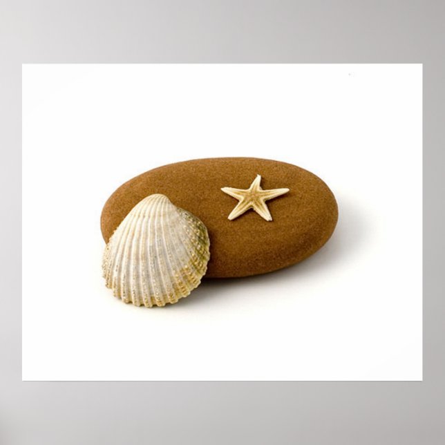 Zen Nature Sea Shell Star fish Pebble Poster (Front)