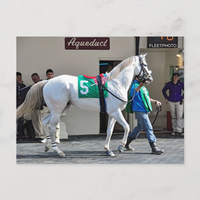 Zen Papa Postcard (Front)