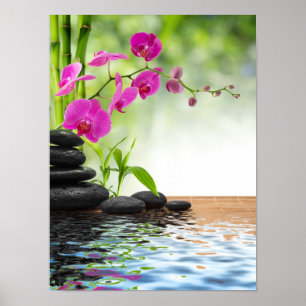 zen,peace,pink orchid,beautiful,spa,healing,yoga,c poster