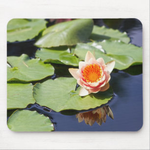 Zen Pond Mouse Pad