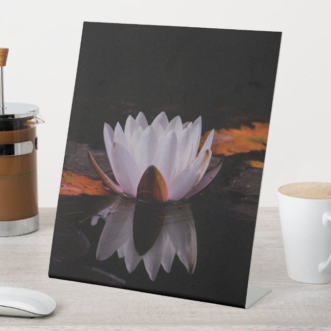 Zen White Lotus Flower Pedestal Sign (In SItu)