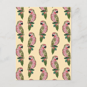 Zentangle Style Parrots 2 Postcard