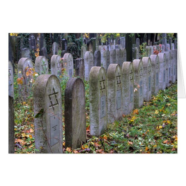 Zentralfriedhof (Front Horizontal)