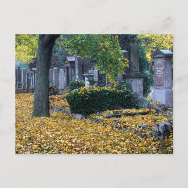 Zentralfriedhof Postcard (Front)