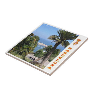 zES044 BARCELONA Panorama Spain, Ceramic Tile