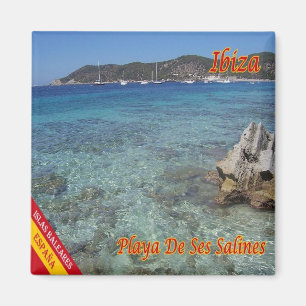 zES056 EIVISSA Beach of salt, Spain, Fridge Magnet
