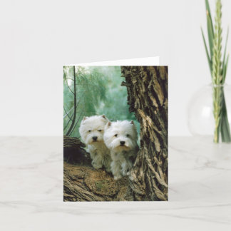 Zest and Donna(Mother and Daughter Take 2) Card
