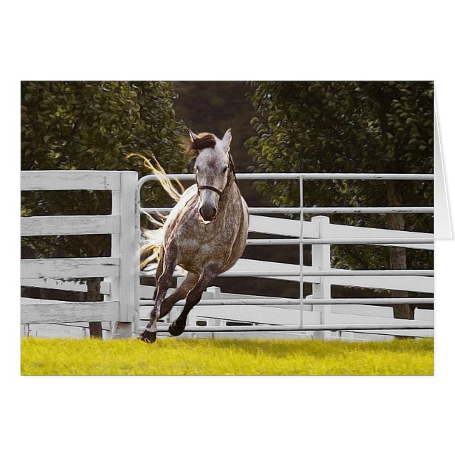 Zest For Life (Front Horizontal)