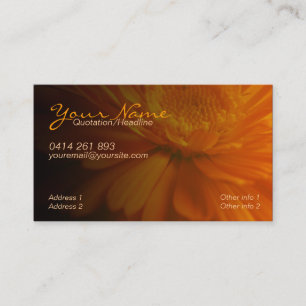 ZeSTiVE Business & Personal Card