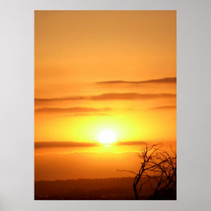 Zesty SUN Poster