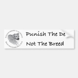 Zeus angel bumper sticker