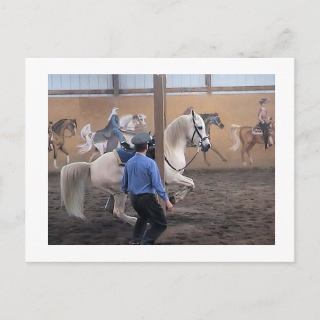 Zeus, Levade in the pillars Postcard (Front)