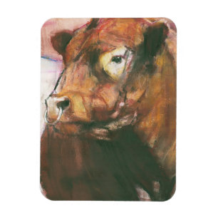 Zeus Red Belted Galloway Bull 2006 2 Magnet