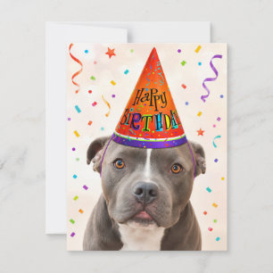 Zeus Rescue Dog Happy Birthday Postcard
