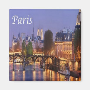 zFR065 PARIS panorama, France, Fridge Magnet