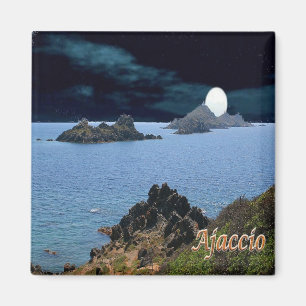 zFR127 AJACCIO panorama, Corsica, Fridge Magnet