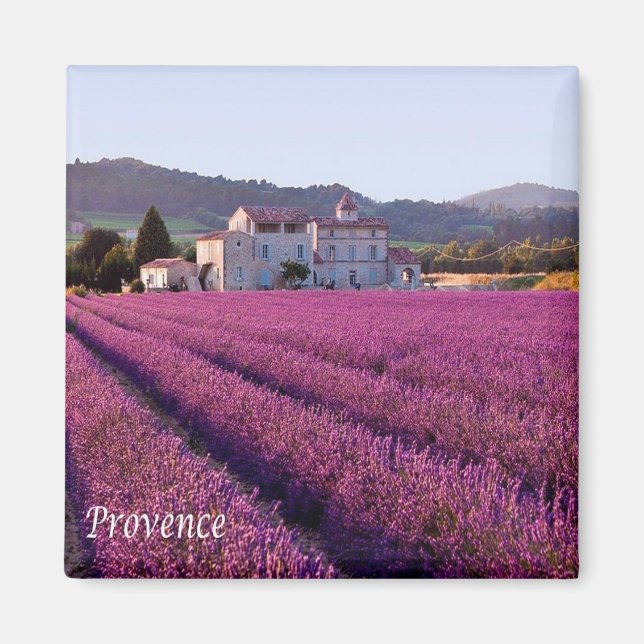 zFR149 PROVENCE, France, Fridge Magnet (Front)