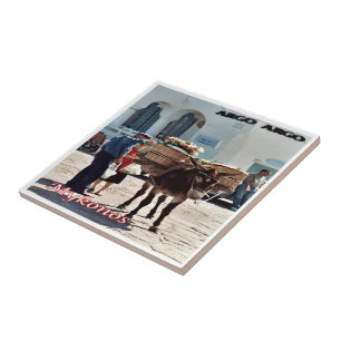 zGR119 MYKONOS Donkey, Greece, Ceramic Tile