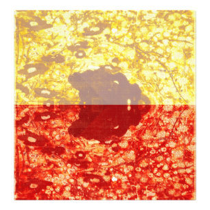 Zhao Chang - Picture of the New Year (Modified) Photo Print