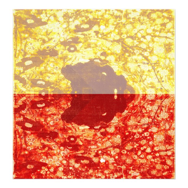 Zhao Chang - Picture of the New Year (Modified) Photo Print (Front)