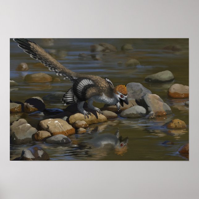 Zhenyuanlong Poster (Front)