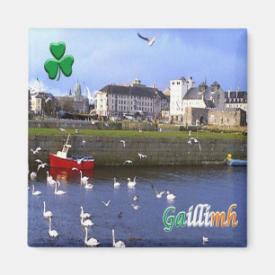 zIE005 GALWAY GAILLIMH, Ireland, Fridge Magnet