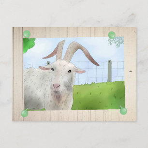 Ziegenbock Postcard