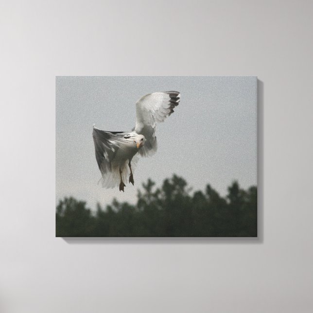 Zig Zag Canvas Print (Front)