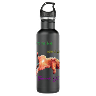 Zigi the Cute Cat Lazy Sideways Cat Funny Saying 710 Ml Water Bottle