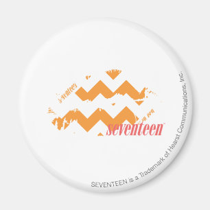 ZigZag Orange Magnet