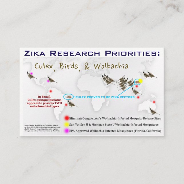 Zika Research Priorities Biz Cards by RoseWrites (Front)