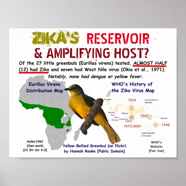 Zika's Reservoir & Amplifying Host by RoseWrites Poster (Front)