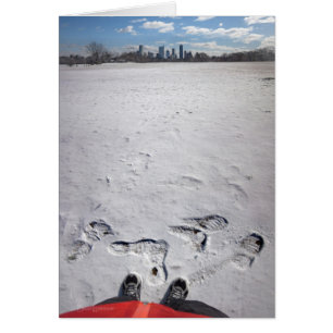 Zilker Park Snow - Austin Texas Downtown Skyline