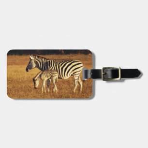 Zimbabwe, Hwange National Park, Linkwasha Luggage Tag