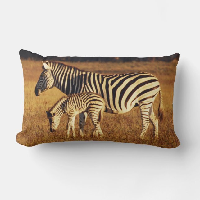 Zimbabwe, Hwange National Park, Linkwasha Lumbar Cushion (Front)